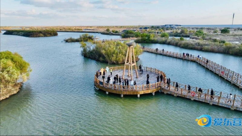 永远应该是 永远应该是